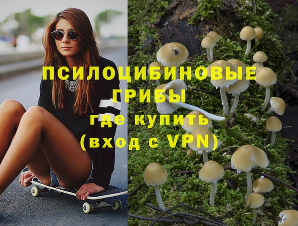 прущие крисы Краснослободск