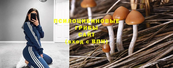 стаф Краснотурьинск