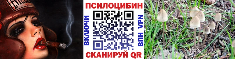 Псилоцибиновые грибы Cubensis  Хотьково 